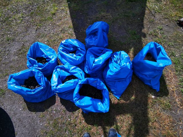 Neun blaue Müllsäcke mit entferntem Muschelbewuchs