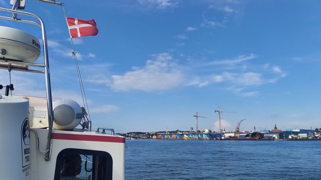 Dänische Flagge über Molly