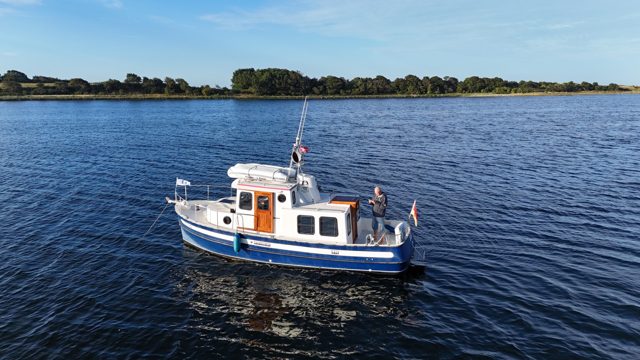 Molly auf blauem Wasser